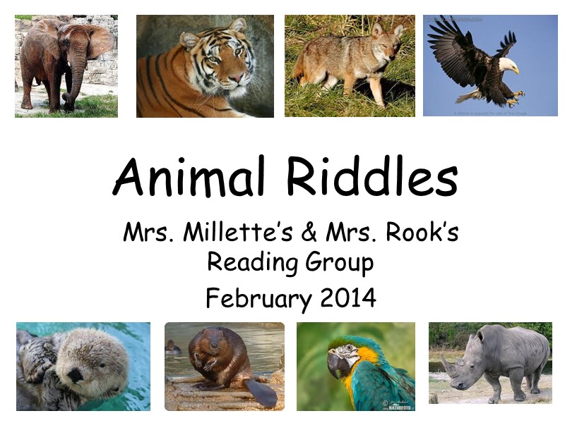Animal Riddles Mrs. Millette’s & Mrs. Rook’s Reading Group February 2014